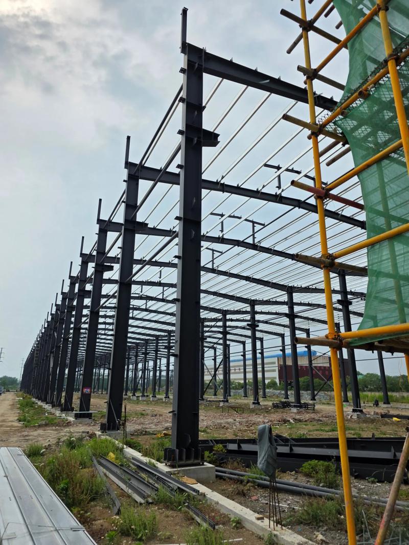 一天一个样儿 新工厂一期建设现场直击