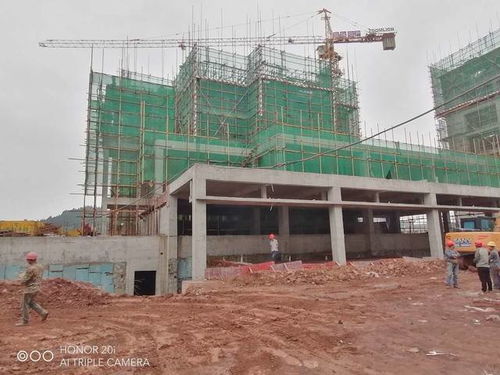 蓬安梧桐大院项目建设工程正紧张有序稳步推进