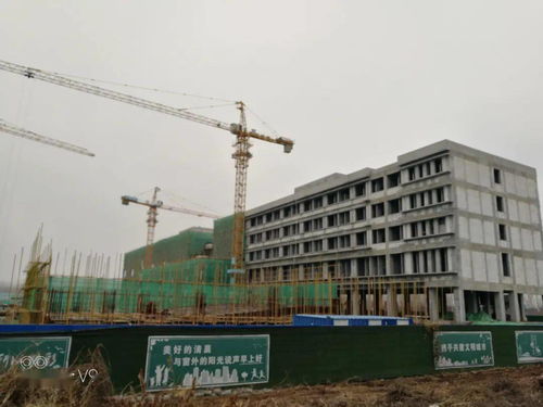 淄博市新体校建设项目 珠峰之巅｜党建引领下的施工安全的领航者